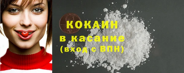 прущий лед Богданович