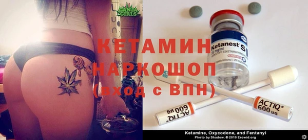 трава Аркадак