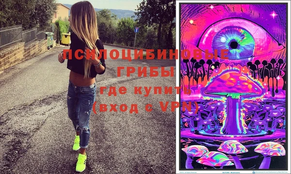 кокс Алексин