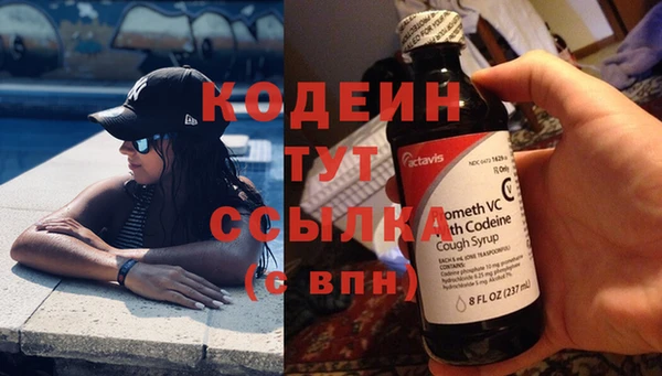 трава Аркадак